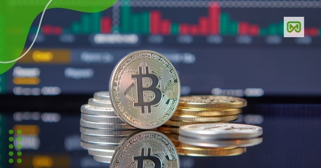 Investir em criptomoedas vale a pena
