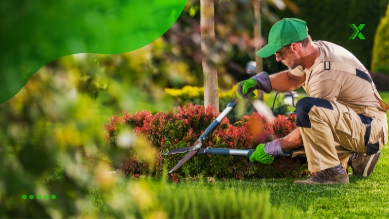 Aulas de jardinagem e paisagismo 